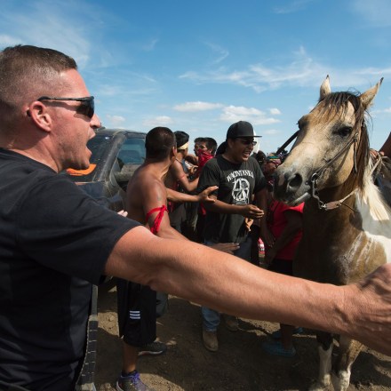 A Native American protestors holds up his arms as he and other protestors are threatened by private security guards and guard dogs, at a work site for the Dakota Access Pipeline (DAPL) oil pipeline, near Cannon Ball, North Dakota, September 3, 2016. Hundreds of Native American protestors and their supporters, who fear the Dakota Access Pipeline will polluted their water, forced construction workers and security forces to retreat and work to stop. / AFP / Robyn BECK (Photo credit should read ROBYN BECK/AFP/Getty Images)